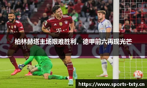 天行体育官网